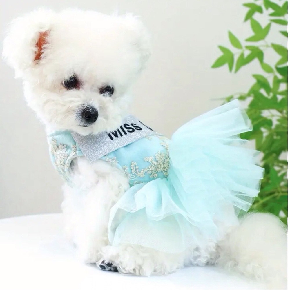 Miss Universe Tutu Dress Pet Costume Harness